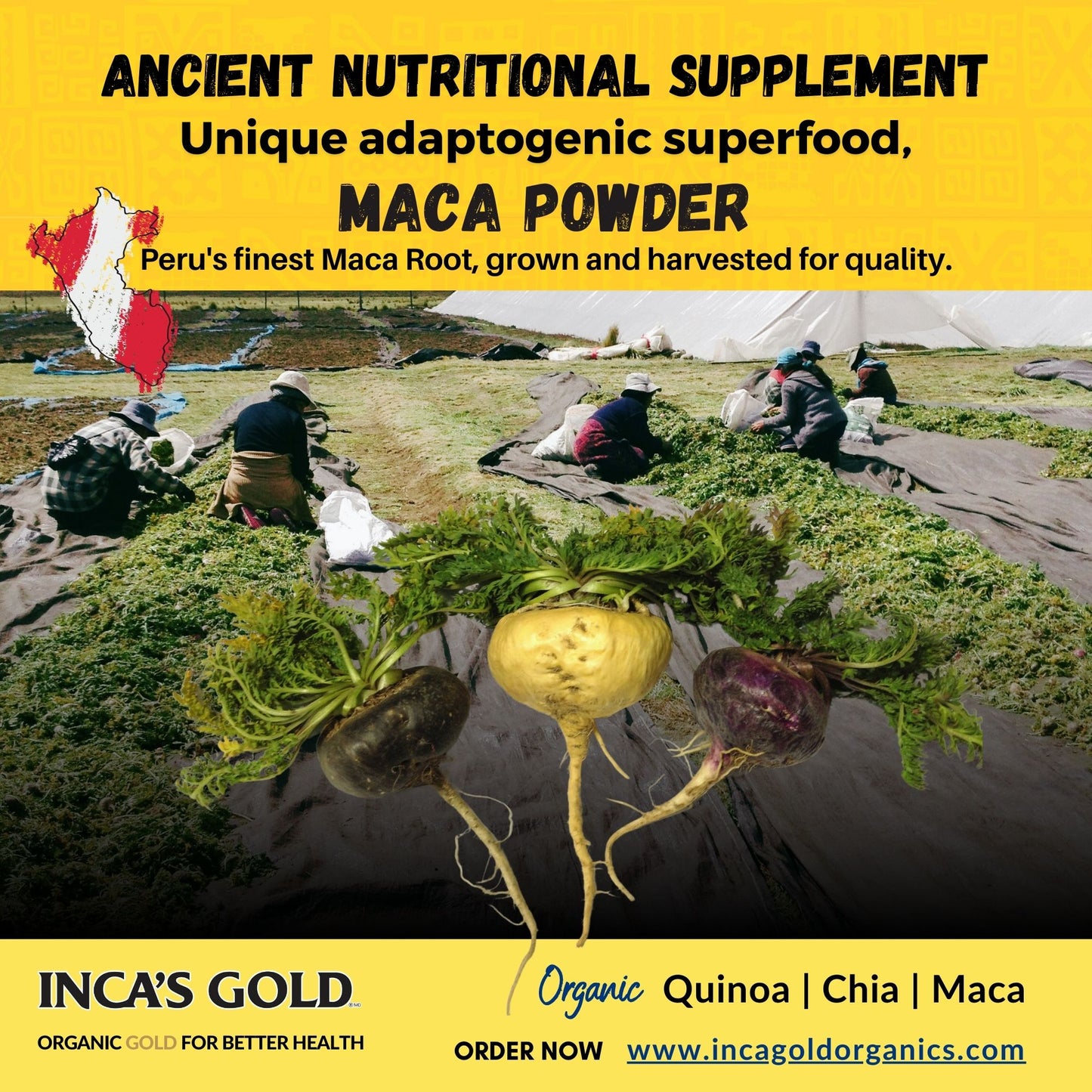 Organic Red Maca Powder - 170g